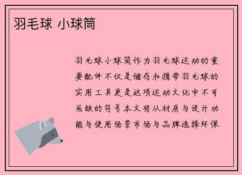 羽毛球 小球筒