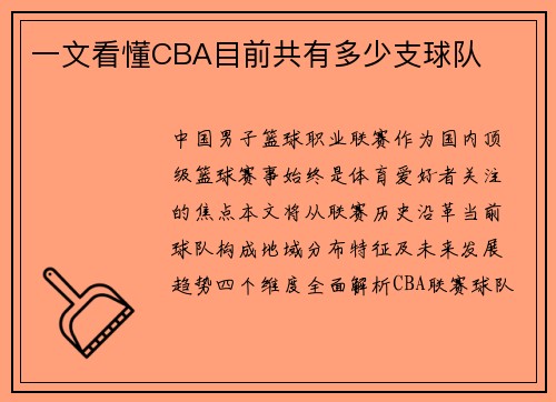一文看懂CBA目前共有多少支球队